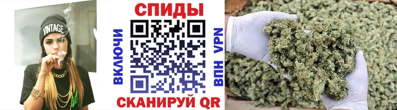 мега tor Ачхой-Мартан БУТИРАТ BDO