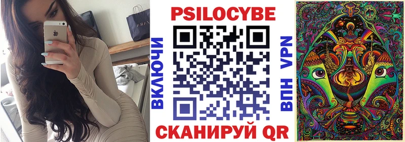 Псилоцибиновые грибы Psilocybe  Ачхой-Мартан 